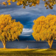 Illustration for article titled 76 Stunning Photos Of Fall Leaves